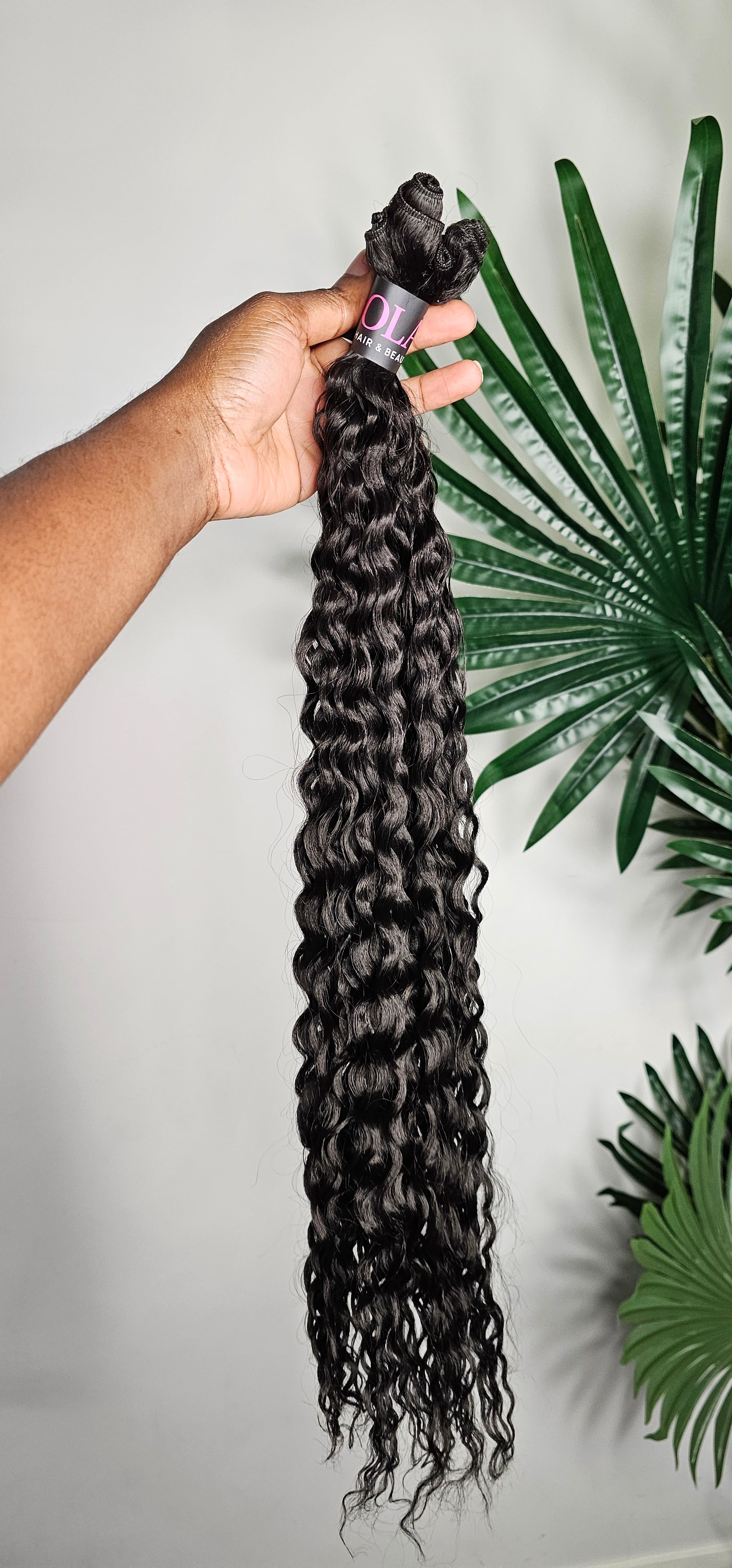 Natural Ebony - Curly Hair - $30